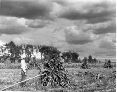 Farm1