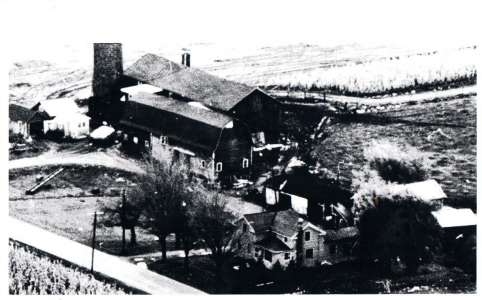 Sotherden Farm Carl And Clarence 6 16 21