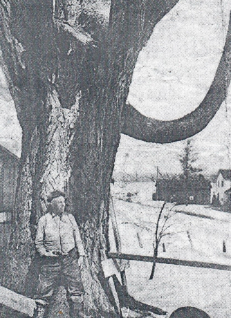 History Mystery Jacobs Tree John 