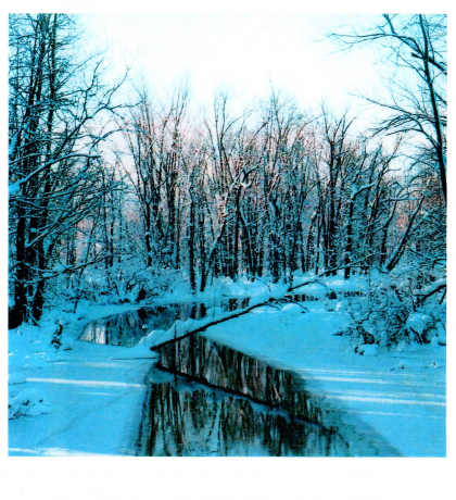 Mud Creek Clay 10 9 20