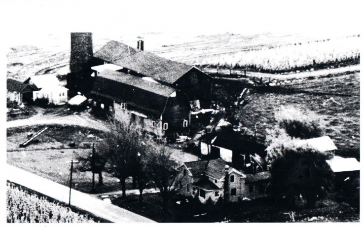 Sotherden Farm Carl And Clarence 6 16 21