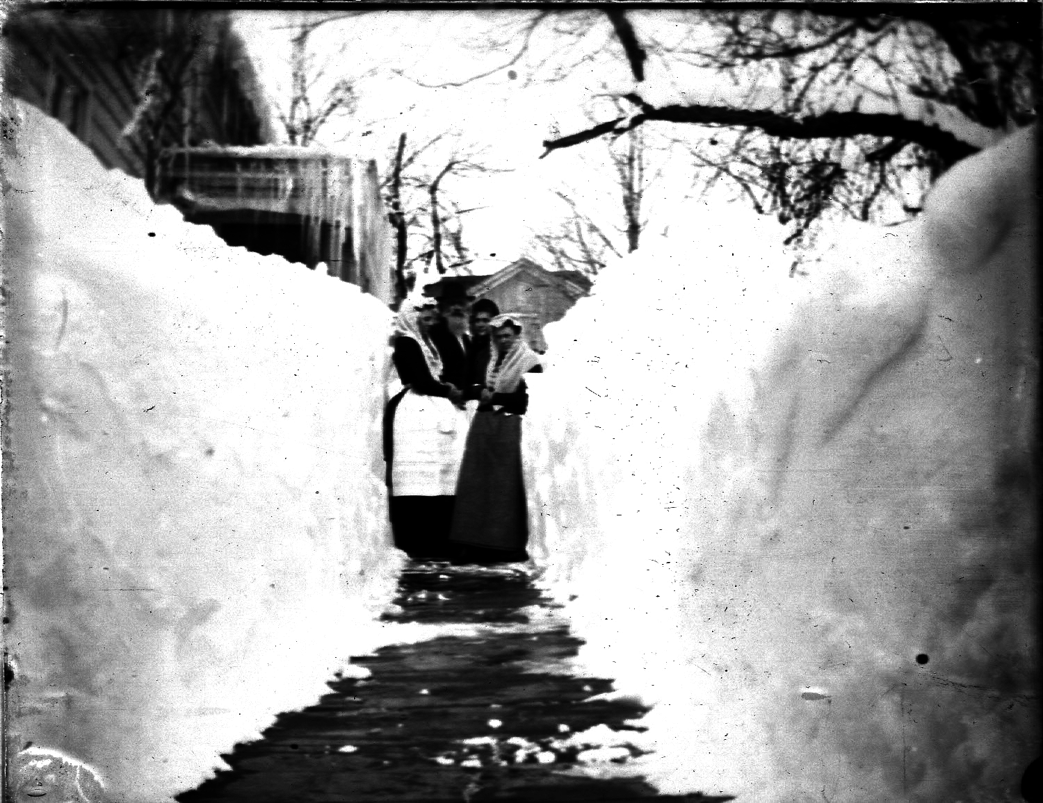 Glass negatives -2 _0160 